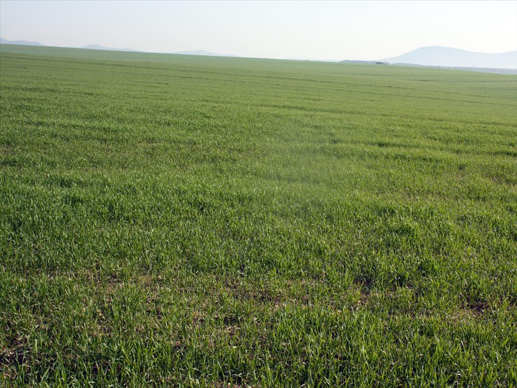 Hotel em Chalkidiki, Greece 200000 m² N.º 7995