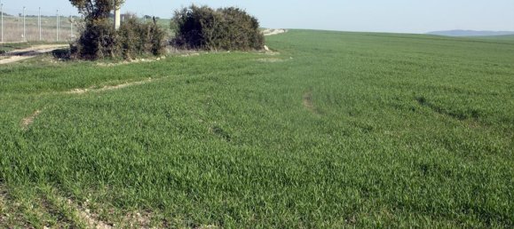 200000m² Hotel in Chalkidiki, Greece No. 7995 2