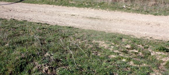 200000m² Hotel in Chalkidiki, Greece No. 7995 4