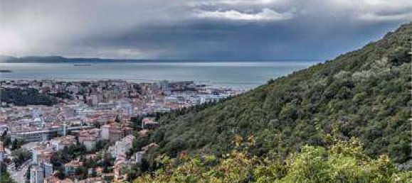 7غرفة فيلا في Trieste, Italy رقم 309455 24