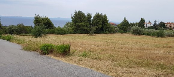 Отель, гостиница 9500м² в Халкидики, Греция № 5616 4