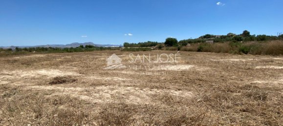 1 bedroom House in Aspe, Spain No. 25815 18