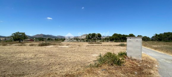 1 bedroom House in Aspe, Spain No. 25815 10