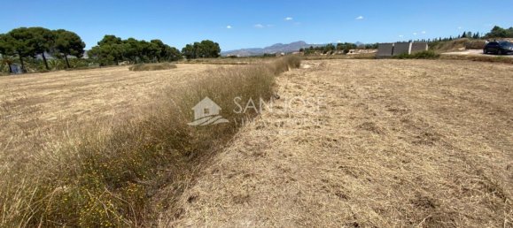 1 bedroom House in Aspe, Spain No. 25815 30