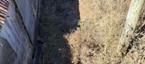 Grundstück in Calheta, Portugal 155m², Nr. 244776 11