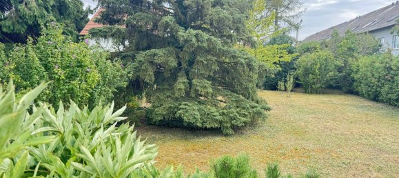 3 rooms Land in Vienna, Austria No. 164758 2