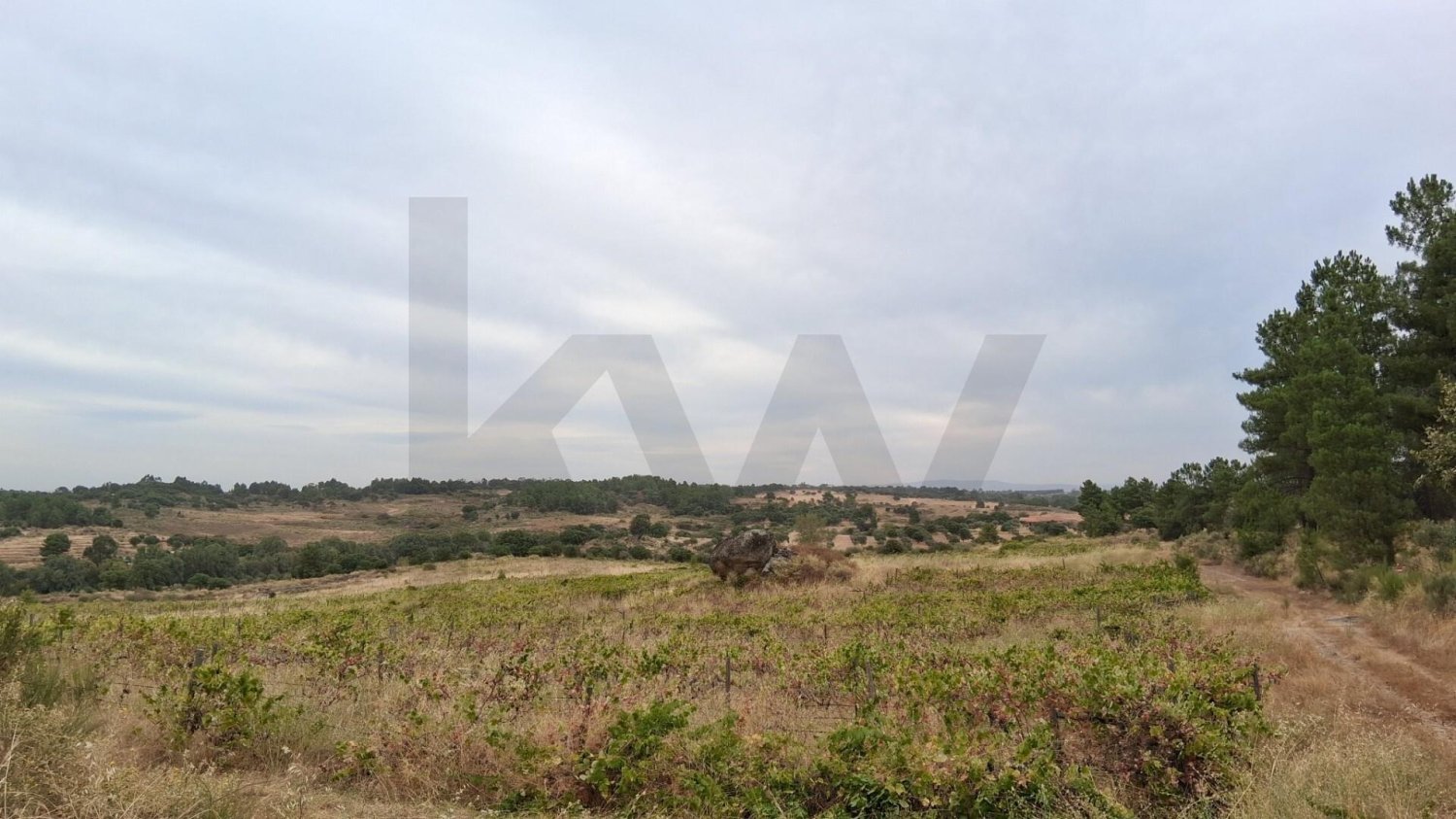 9400m² Land in Sao Miguel de Acha, Portugal No. 349015