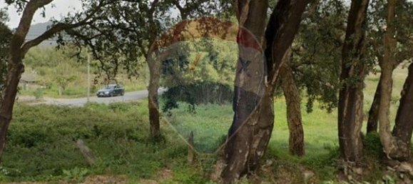 Grundstück in Caminha, Portugal 710m², Nr. 58501 3