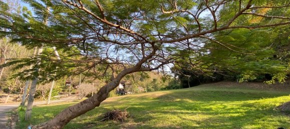 20 bedrooms Commercial property in Chiang Mai, Thailand No. 12776 8