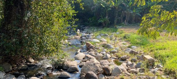 20 bedrooms Commercial property in Chiang Mai, Thailand No. 12776 22