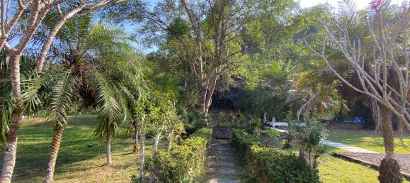 20 bedrooms Commercial property in Chiang Mai, Thailand No. 12776 14