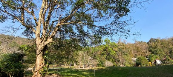 20 bedrooms Commercial property in Chiang Mai, Thailand No. 12776 5