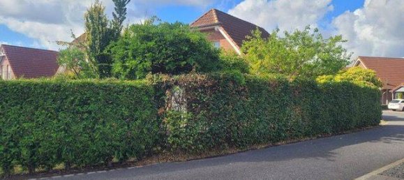 4 غرف نوم منزل في Borken, Germany رقم 347749 2