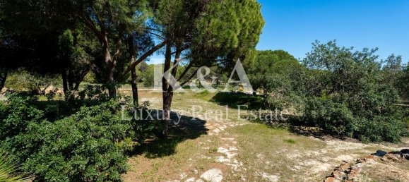 Propriété commerciale à Almancil, Portugal 464m² No. 190859 10