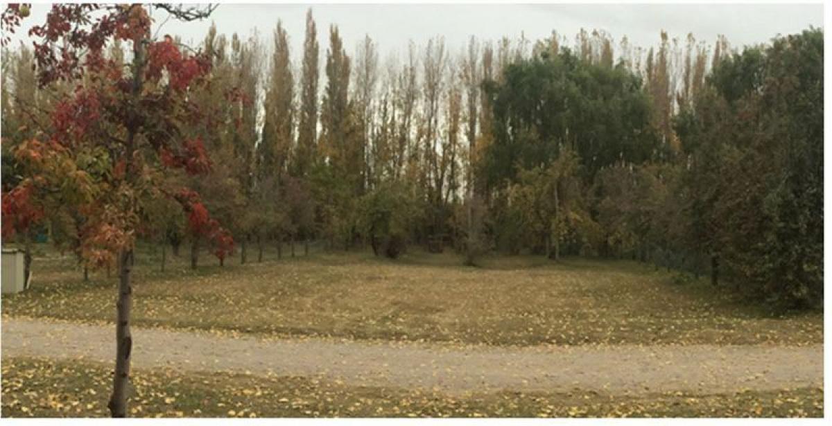  Land in Neuquen, Argentina No. 37379