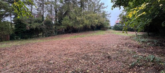 Земельный участок в Восточный Гольштейн, Германия № 57045 3