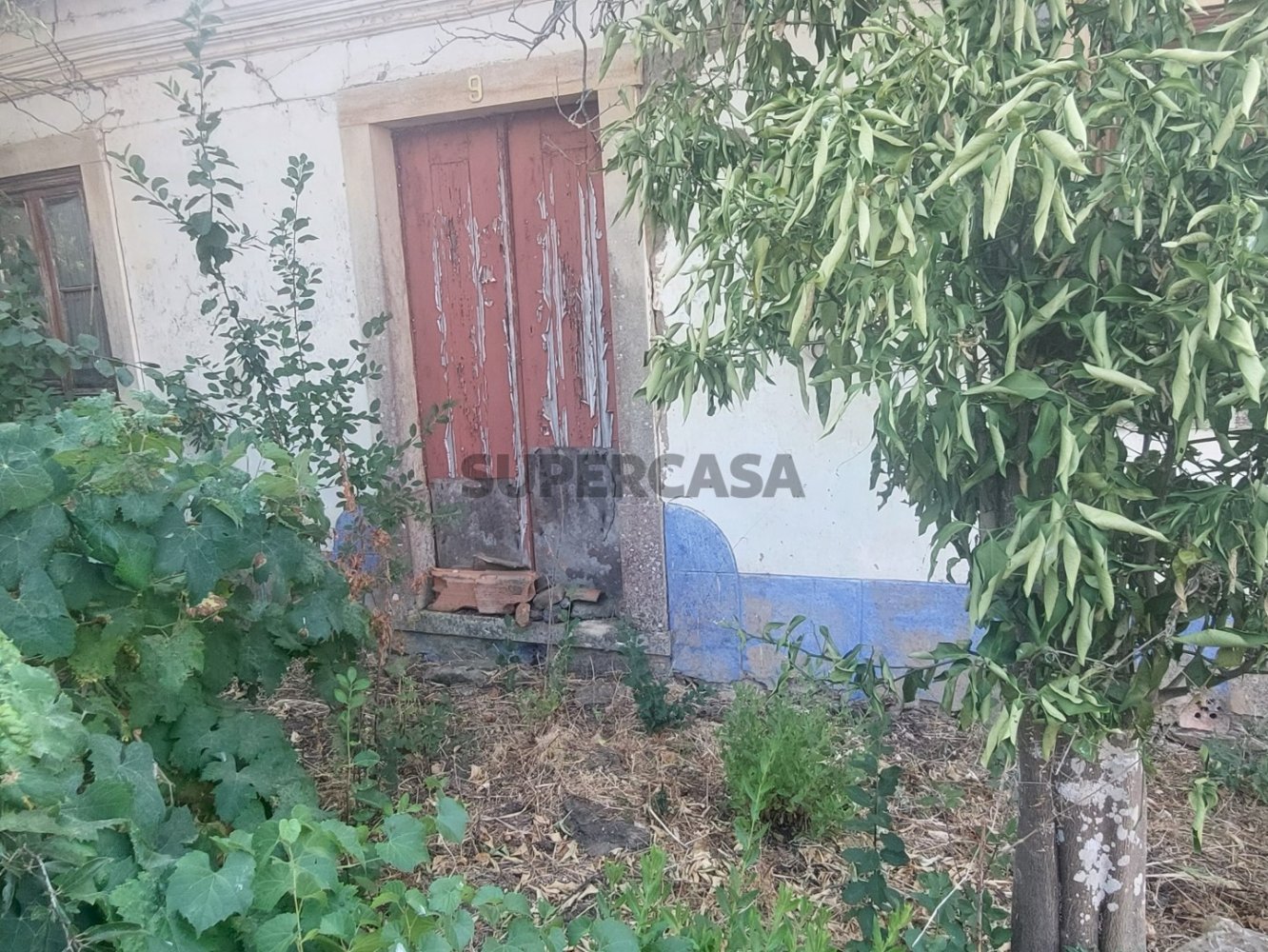 3 Schlafzimmer Haus in Tomar, Portugal, Nr. 281032