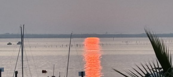 1 bedroom Apartment in Arcachon, France No. 333240 5