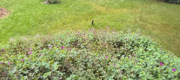 2 chambres Bungalow à Jerichower Land, Germany No. 332314 2