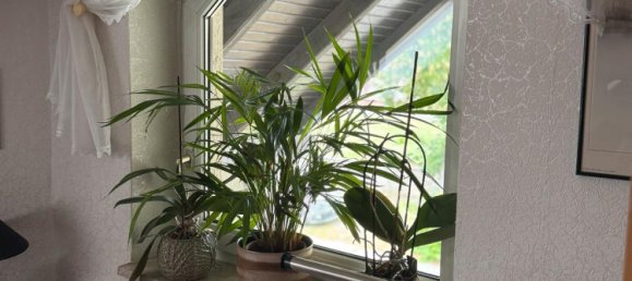 2 chambres Bungalow à Jerichower Land, Germany No. 332314 15