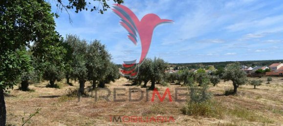  قطعة أرض في Santiago do Cacem, Portugal 24665متر مربع رقم 80124 6