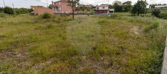 593m² Land in Vila Nova de Poiares, Portugal No. 80043 8