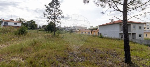 593m² Land in Vila Nova de Poiares, Portugal No. 80043 3