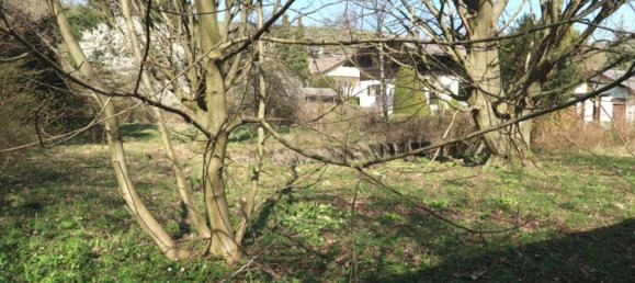 1982m² Land in Klosterneuburg, Austria No. 134459 5