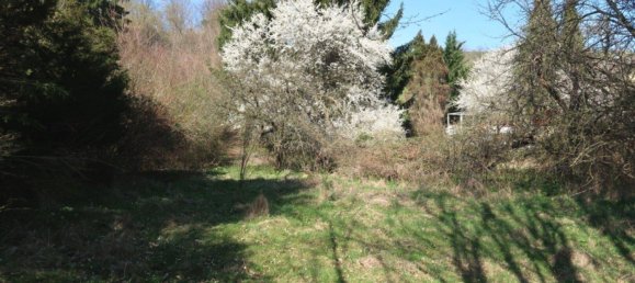 1982m² Land in Klosterneuburg, Austria No. 134459 4