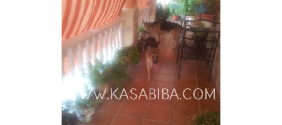 4 غرف نوم منزل في Alzira, Spain رقم 72025 5