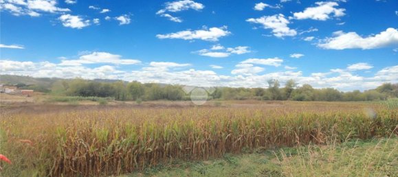 Grundstück in Collecorvino, Italy 13750m², Nr. 110634 3