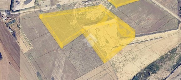 Grundstück in Collecorvino, Italy 13750m², Nr. 110634 7