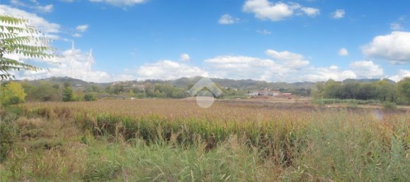 Grundstück in Collecorvino, Italy 13750m², Nr. 110634 4