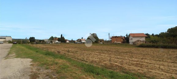 Grundstück in Collecorvino, Italy 13750m², Nr. 110634 5