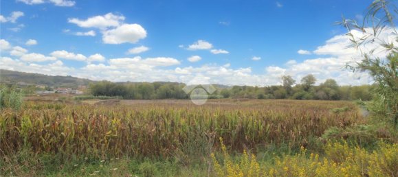 Grundstück in Collecorvino, Italy 13750m², Nr. 110634 2