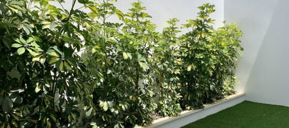 3 bedrooms Villa in Los Alcazares, Spain No. 10656 8