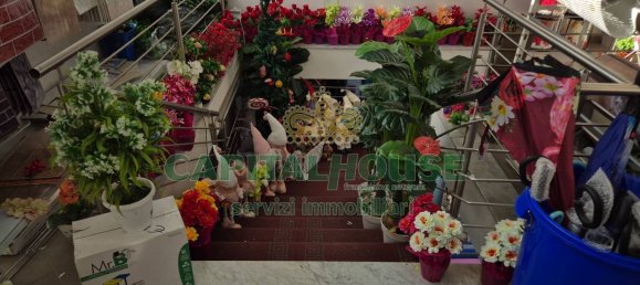 652m² Commercial property in Portico di Caserta, Italy No. 278881 17