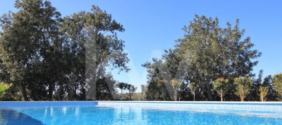 Villa de 7 dormitorios en Silves, Portugal No. 173229 4