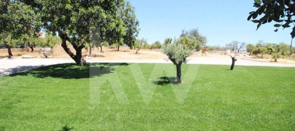 Villa de 7 dormitorios en Silves, Portugal No. 173229 14