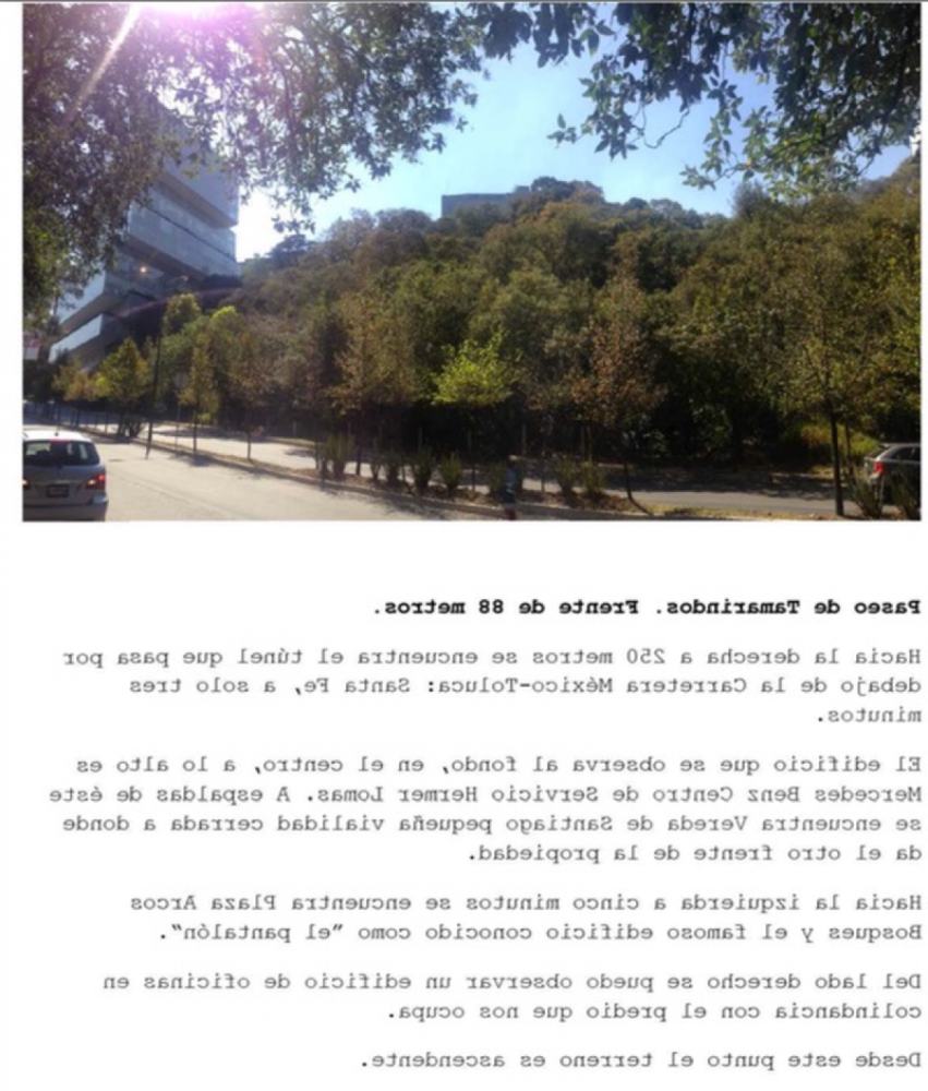  Land in Mexico No. 204131