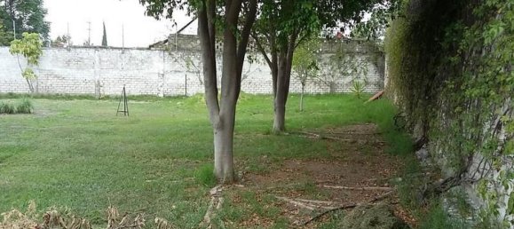 استوديو في Jalisco, Mexico رقم 183213 2