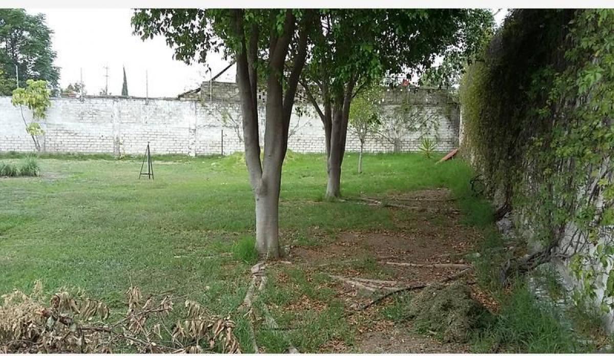 استوديو في Jalisco, Mexico رقم 183213