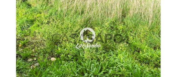 Grundstück in Barcelos, Portugal, Nr. 325975 22