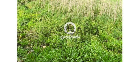 Grundstück in Barcelos, Portugal, Nr. 325975 21