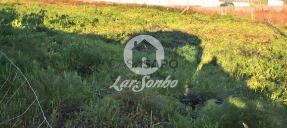 Grundstück in Barcelos, Portugal, Nr. 325975 10