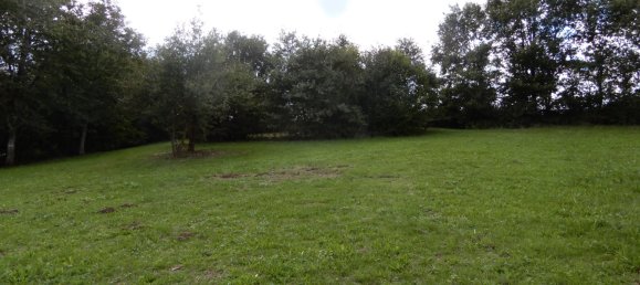 3 غرف نوم منزل في Mooslargue, France رقم 227082 5