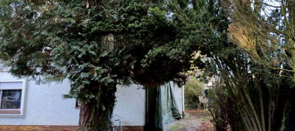 6غرفة منزل في Muhldorf am Inn, Germany رقم 207543 8