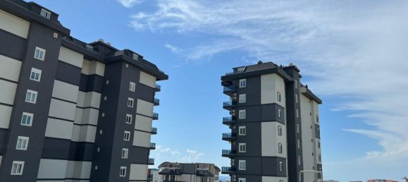 2-Zimmer Wohnung in Avsallar, Turkey, Nr. 30110 3