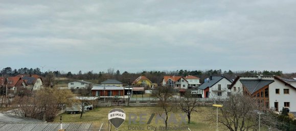 Casa de 12 dormitorios en Strasshof an der Nordbahn, Austria No. 140034 18
