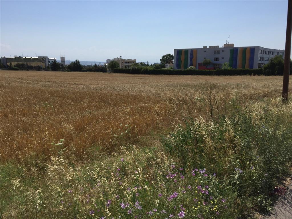 16000m² Hotel in Thermi, Greece No. 5669